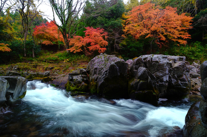 SDIM8754,12 mm,F10,iso100(JPEG).jpg