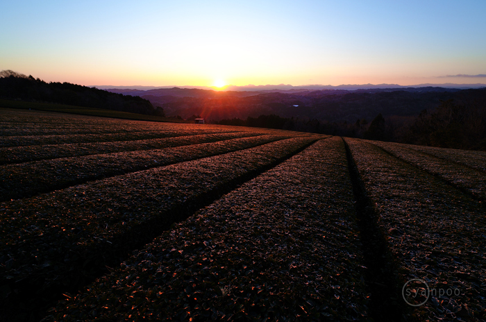 SDIM1625,10 mm,F5,iso100(JPEG).jpg