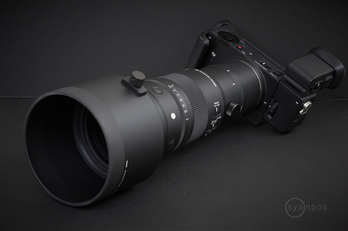 SIGMA 500mm F5.6 DG DN OS  Sports_003.jpg