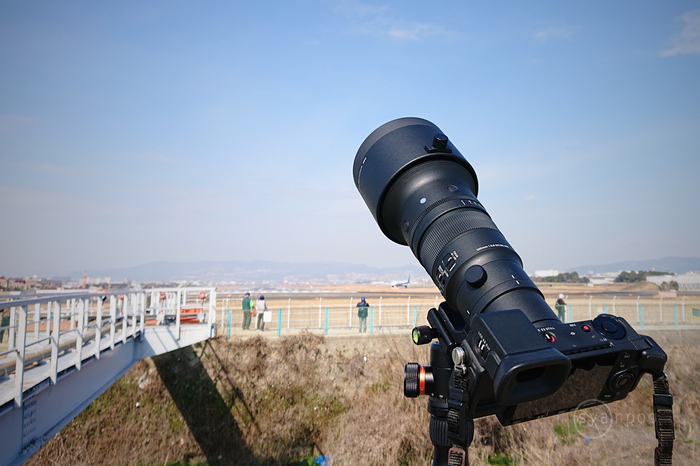 SIGMA 500mm F5.6 DG DN OS  Sports_009.jpg