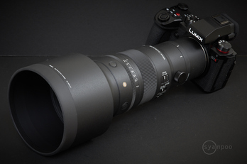 SIGMA 500mm F5.6 DG DN OS  Sports_012.jpg