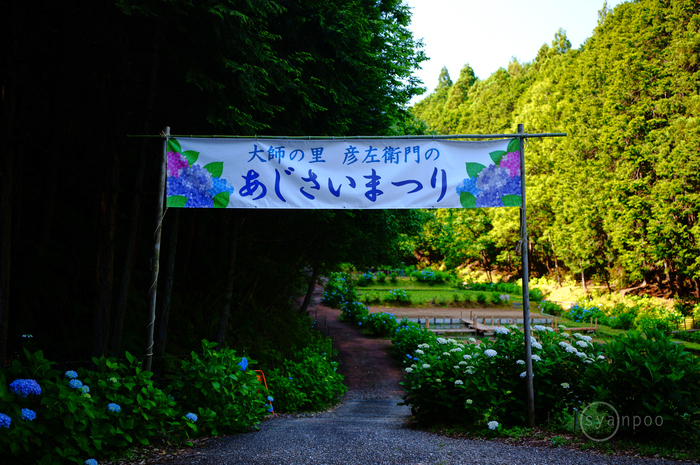 SDIM2014,35 mm,F1.8,iso100(JPEG).jpg