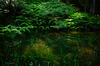 SDIM2297,29 mm,F1.8,iso400(JPEG)_02.jpg