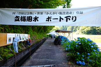 SDIM2486,28 mm,F1.8,iso100(JPEG).jpg
