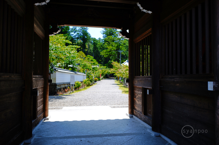 SDIM2574,28 mm,F1.8,iso100(JPEG).jpg
