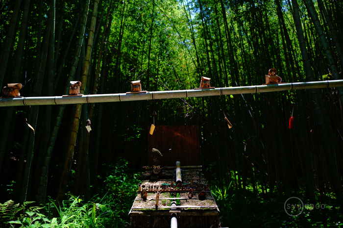 SDIM2665,28 mm,F1.8,iso100(JPEG).jpg