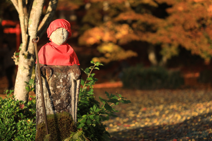 IMG_0528,56 mm,F1.4,1-640 秒,iso100(JPEG).jpg