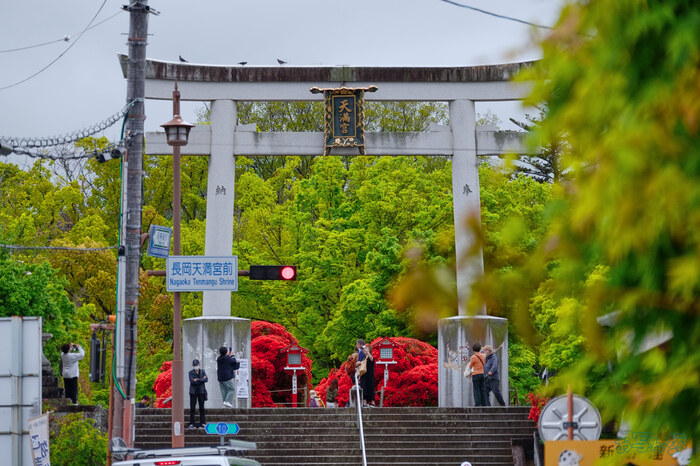 BF_03262,134 mm,F6.7,1-250 秒,iso400(JPEG).jpg