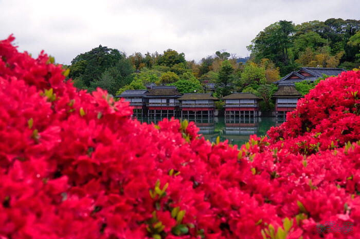 BF_03349,30 mm,F8,1-400 秒,iso400(JPEG) 1.jpg