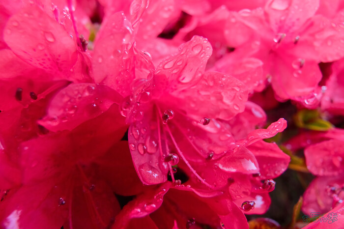 BF_03400,16 mm,F8,1-50 秒,iso400(JPEG).jpg