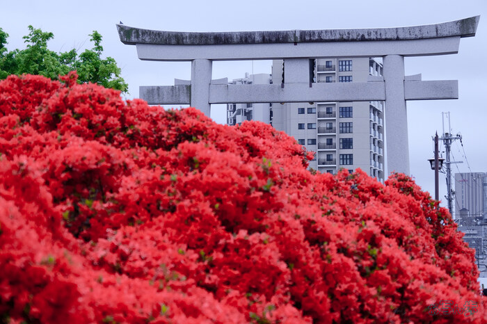 BF_03438,71 mm,F6.3,1-250 秒,iso400(JPEG).jpg
