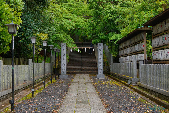 BF_03514,40 mm,F8,1-60 秒,iso1600(JPEG).jpg