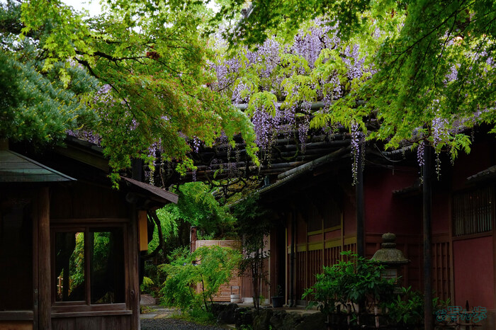 BF_03538,52 mm,F8,1-80 秒,iso1000(JPEG).jpg