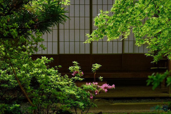 BF_03549,46 mm,F8,1-60 秒,iso2500(JPEG).jpg