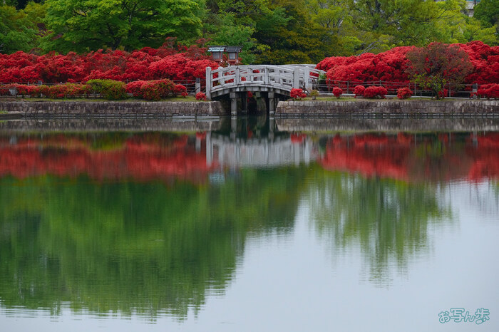 BF_03604,161 mm,F10,1-250 秒,iso1250(JPEG).jpg
