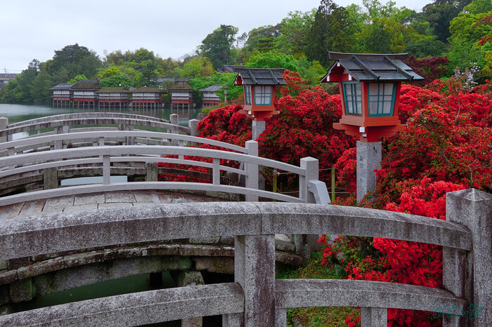 BF_03728,18 mm,F11,1-50 秒,iso400(JPEG) 1.jpg