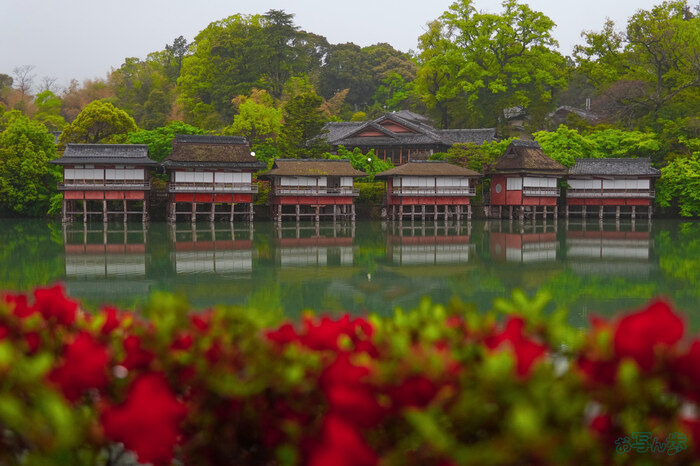 BF_03841,27 mm,F4.3,1-640 秒,iso400(JPEG).jpg
