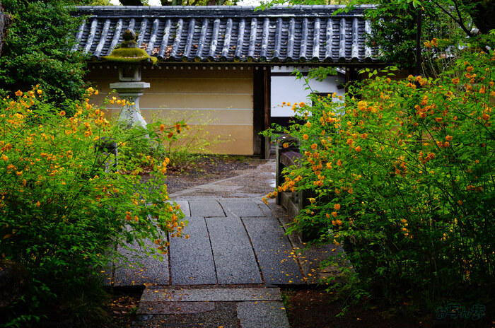 SDIM5827,45 mm,F5.2,1-80 秒,iso500(JPEG).jpg