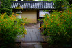 SDIM5827,45 mm,F5.2,1-80 秒,iso500(JPEG).jpg