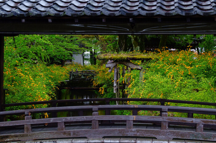 SDIM5899,50 mm,F10,1-80 秒,iso1600(JPEG).jpg