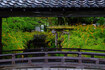 SDIM5899,50 mm,F10,1-80 秒,iso1600(JPEG).jpg