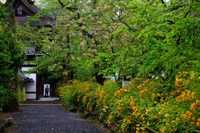 SDIM5922,43 mm,F5.8,1-60 秒,iso640(JPEG).jpg