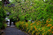 SDIM5922,43 mm,F5.8,1-60 秒,iso640(JPEG).jpg
