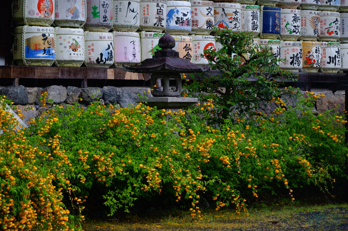 SDIM5950,84 mm,F6,1-125 秒,iso400(JPEG).jpg