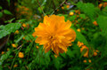 SDIM6001,16 mm,F10,1-25 秒,iso640(JPEG) 1.jpg