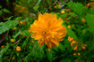 SDIM6001,16 mm,F10,1-25 秒,iso640(JPEG) 1.jpg