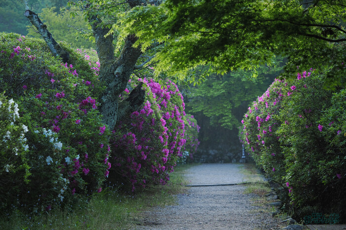 OM3A0004,60 mm,F2.8,1-320 秒,iso200(JPEG).jpg