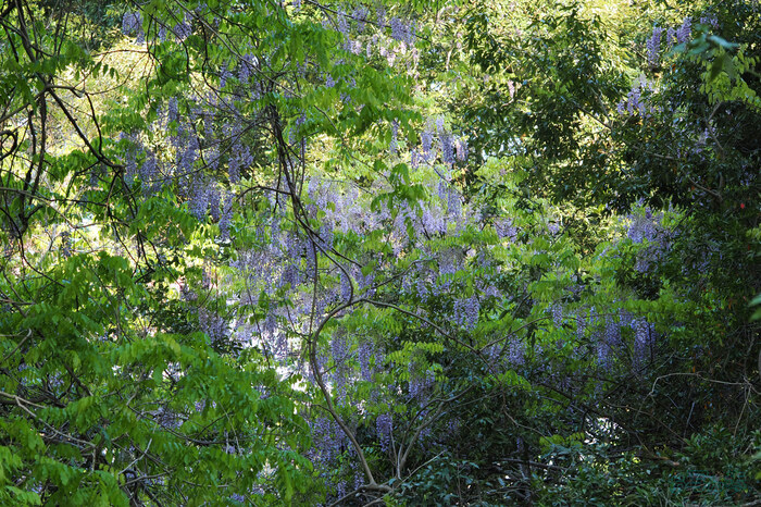 OM3A0005,60 mm,F3.5,1-100 秒,iso200(JPEG) 1.jpg