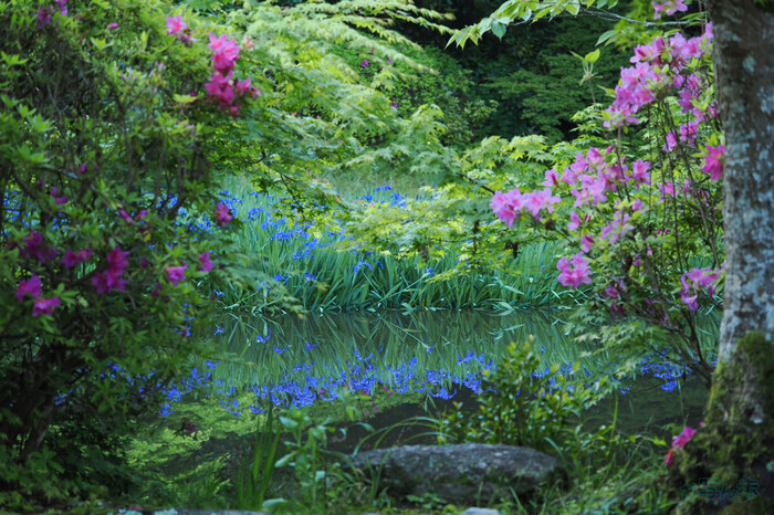 OM3A0018,60 mm,F2.8,1-100 秒,iso200(JPEG).jpg