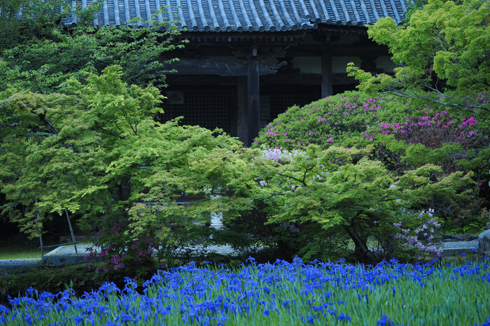 OM3A0039,60 mm,F2.8,1-160 秒,iso200(JPEG).jpg