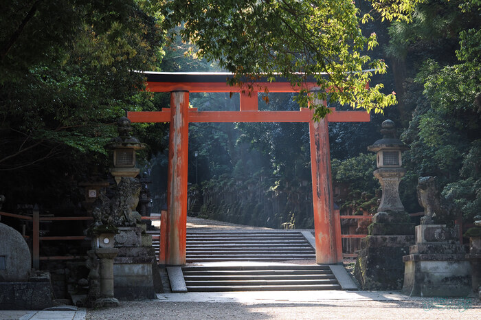 OM3A0044,60 mm,F3.5,1-320 秒,iso200(JPEG).jpg