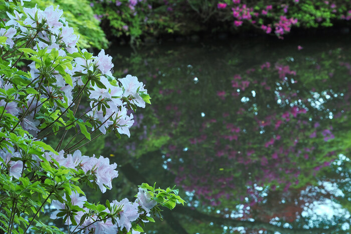 OM3A0060,60 mm,F7.1,1-60 秒,iso640(JPEG).jpg