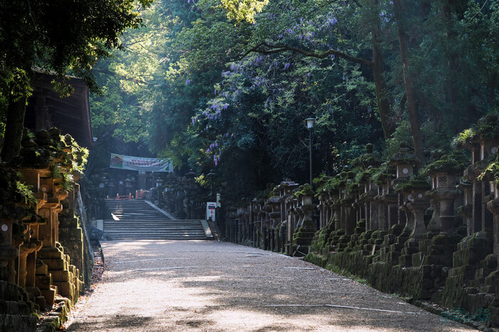 OM3A0070,60 mm,F5.6,1-80 秒,iso200(JPEG).jpg