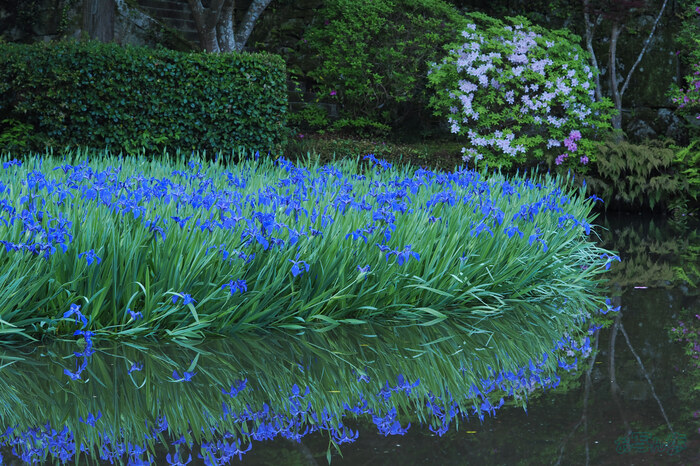 OM3A0102,60 mm,F5.6,1-50 秒,iso320(JPEG).jpg