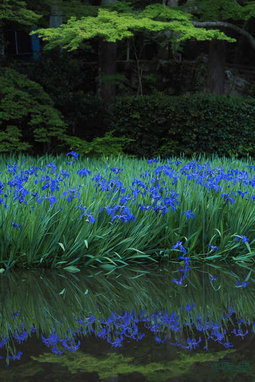OM3A0109,60 mm,F5.6,1-60 秒,iso250(JPEG).jpg