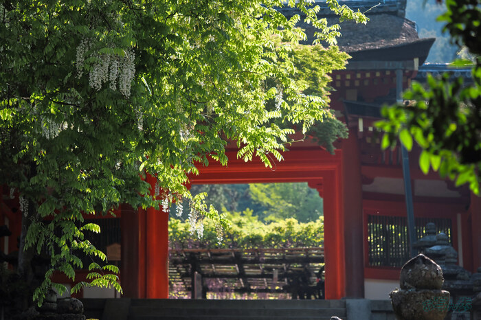 OM3A0121,60 mm,F2.8,1-1250 秒,iso200(JPEG).jpg