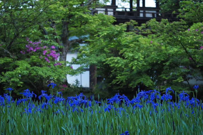 OM3A0121,60 mm,F2.8,1-320 秒,iso200(JPEG).jpg