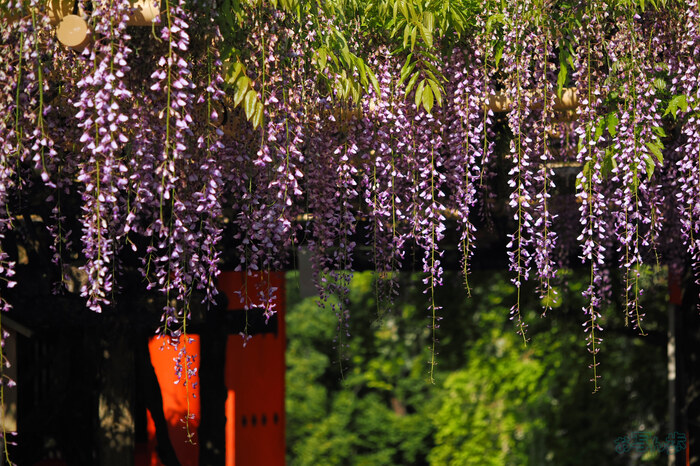 OM3A0151,60 mm,F2.8,1-3200 秒,iso200(JPEG).jpg