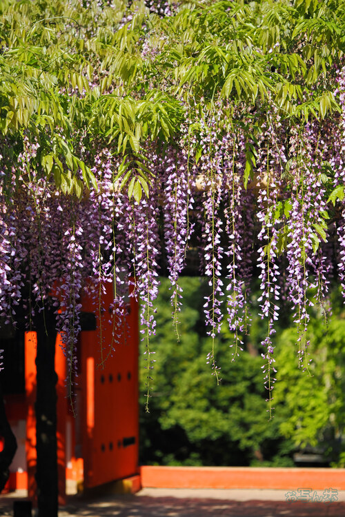 OM3A0157,60 mm,F2.8,1-2000 秒,iso200(JPEG).jpg