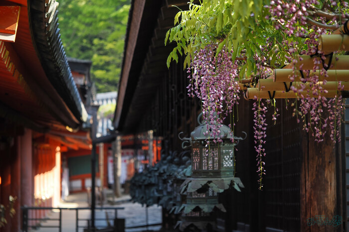 OM3A0214,60 mm,F2.8,1-500 秒,iso200(JPEG).jpg