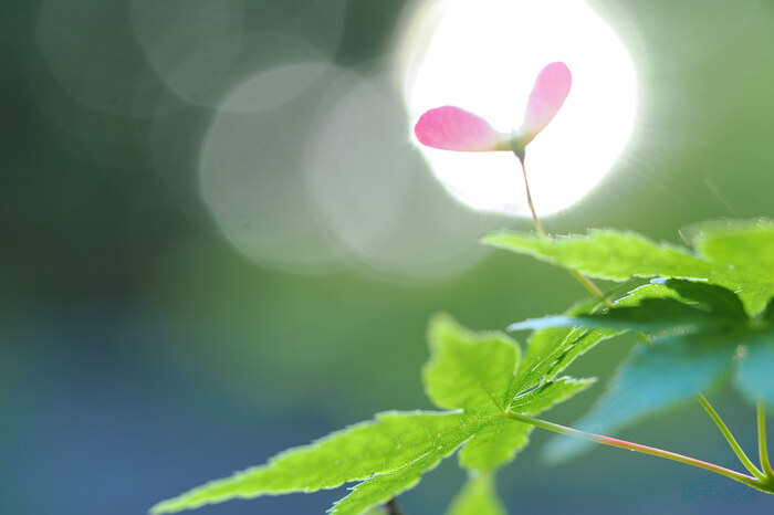OM3A0226,60 mm,F2.8,1-50 秒,iso200(JPEG).jpg