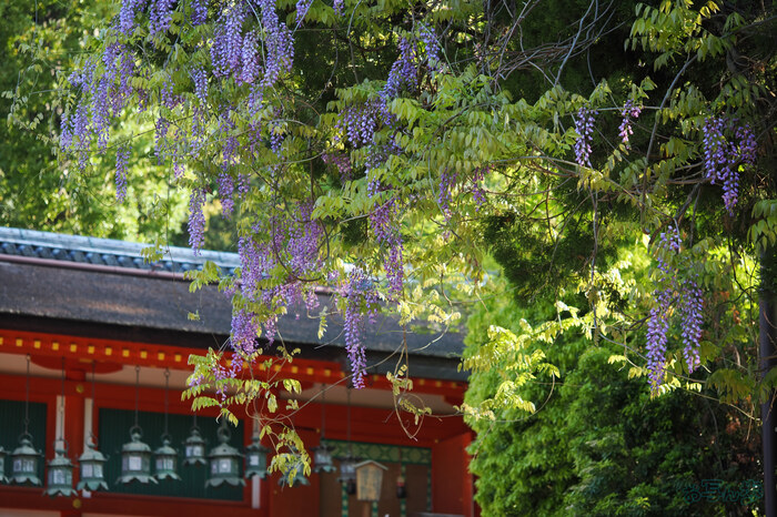 OM3A0247,60 mm,F2.8,1-320 秒,iso200(JPEG).jpg