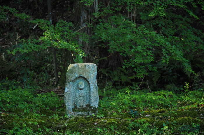 OM3A0294,60 mm,F2.8,1-60 秒,iso400(JPEG).jpg
