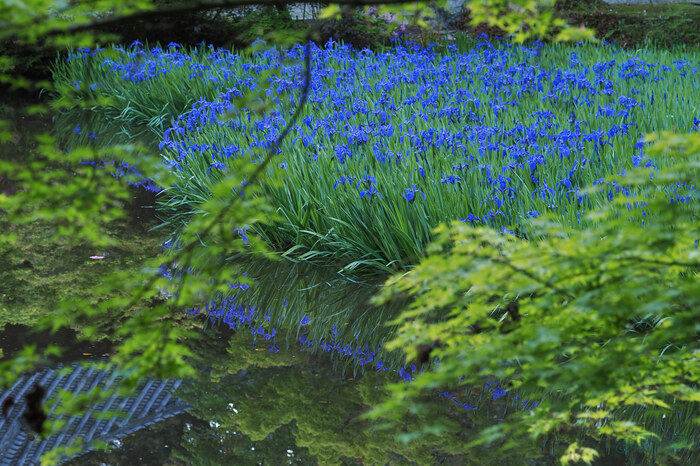 OM3A0315,60 mm,F5,1-80 秒,iso200(JPEG).jpg