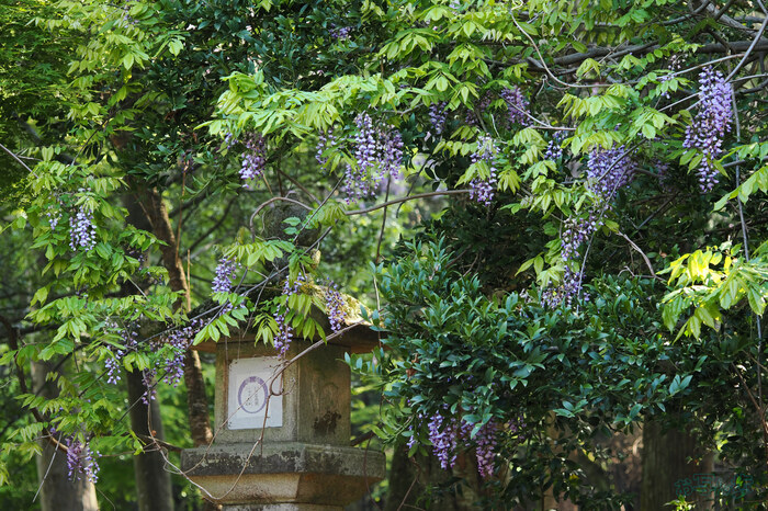 OM3A0337,60 mm,F3.5,1-60 秒,iso200(JPEG).jpg