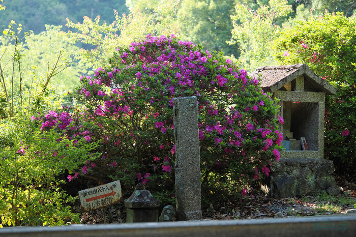 OM3A0450,60 mm,F2.8,1-320 秒,iso200(JPEG).jpg